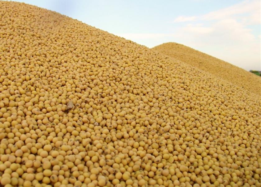 How to Replace Soybean Meal in Cow Diets as Grain Prices Push Higher